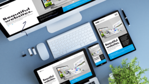 Erzincan Web Tasarım Firmaları